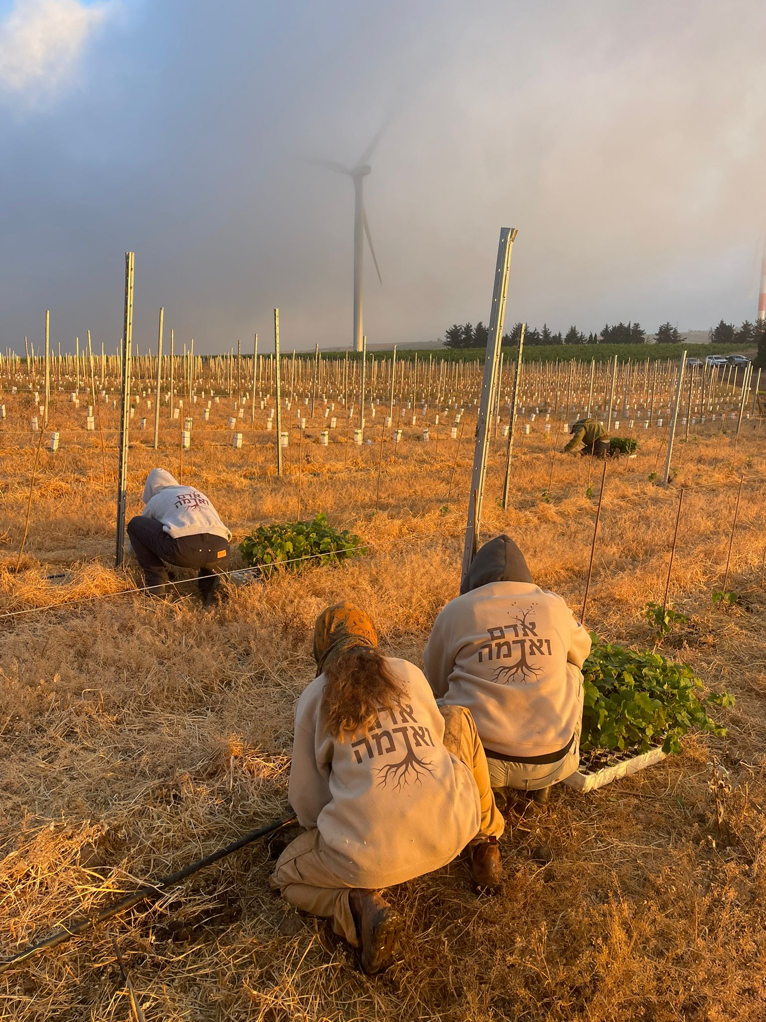 WhatsApp Image 2025-07-22 at 11.21