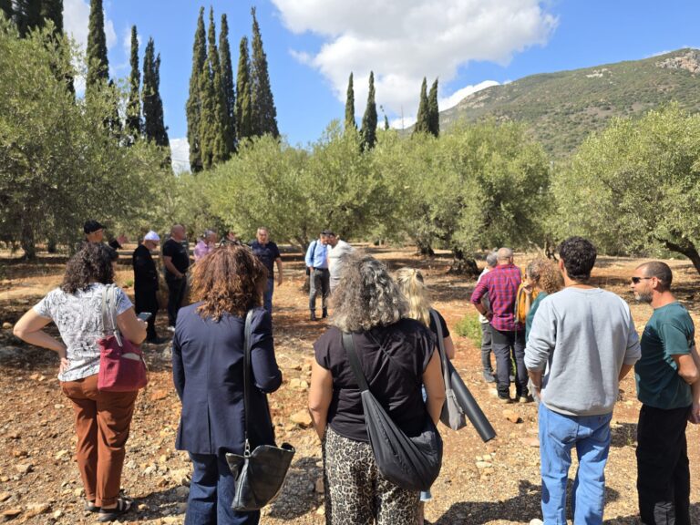 פסטיבל ימי ענף הזית - חוגג 30 צ